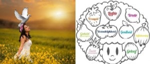 Galater Bibelstudium