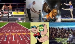 Timotheus Bibelstudium